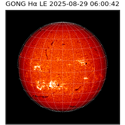 gong - 2025-08-29T06:00:42