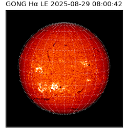 gong - 2025-08-29T08:00:42