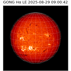 gong - 2025-08-29T09:00:42