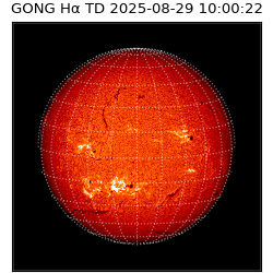 gong - 2025-08-29T10:00:22