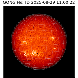 gong - 2025-08-29T11:00:22