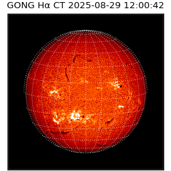 gong - 2025-08-29T12:00:42