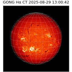 gong - 2025-08-29T13:00:42