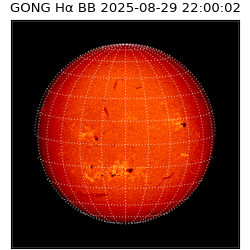 gong - 2025-08-29T22:00:02