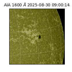 saia - 2025-08-30T09:00:14.126000