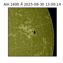 saia - 2025-08-30T13:00:14.125000