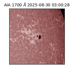 saia - 2025-08-30T03:00:28.717000