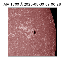 saia - 2025-08-30T09:00:28.718000