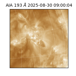 saia - 2025-08-30T09:00:04.843000