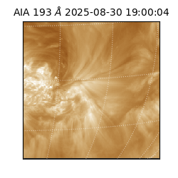saia - 2025-08-30T19:00:04.843000