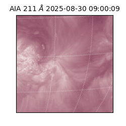 saia - 2025-08-30T09:00:09.626000