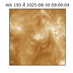 saia - 2025-08-30T09:00:04.843000