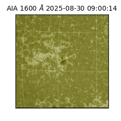 saia - 2025-08-30T09:00:14.126000