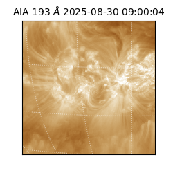 saia - 2025-08-30T09:00:04.843000
