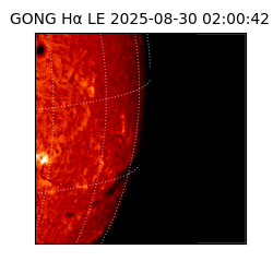 gong - 2025-08-30T02:00:42