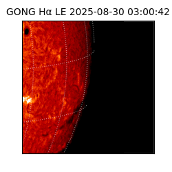 gong - 2025-08-30T03:00:42