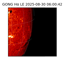 gong - 2025-08-30T06:00:42