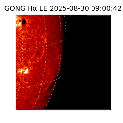 gong - 2025-08-30T09:00:42