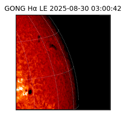 gong - 2025-08-30T03:00:42