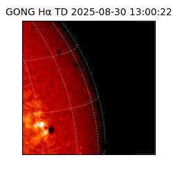 gong - 2025-08-30T13:00:22