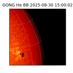 gong - 2025-08-30T15:00:02