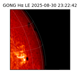 gong - 2025-08-30T23:22:42
