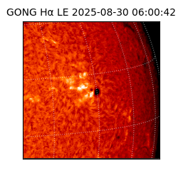gong - 2025-08-30T06:00:42