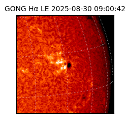 gong - 2025-08-30T09:00:42
