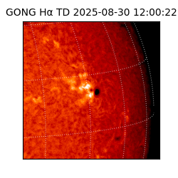 gong - 2025-08-30T12:00:22