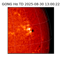 gong - 2025-08-30T13:00:22