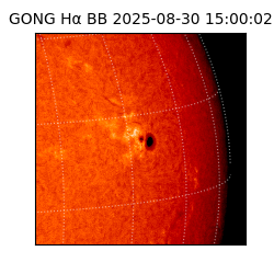 gong - 2025-08-30T15:00:02