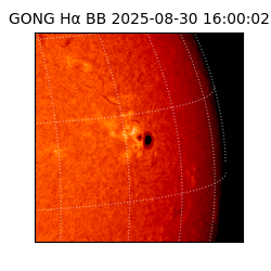 gong - 2025-08-30T16:00:02