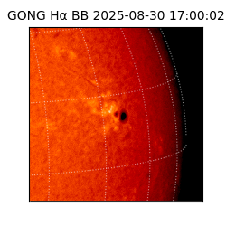 gong - 2025-08-30T17:00:02