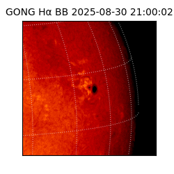 gong - 2025-08-30T21:00:02