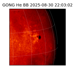 gong - 2025-08-30T22:03:02