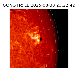 gong - 2025-08-30T23:22:42