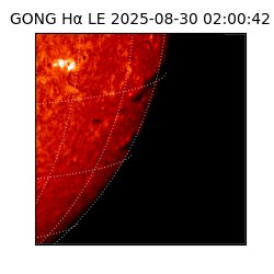 gong - 2025-08-30T02:00:42