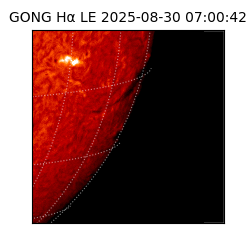 gong - 2025-08-30T07:00:42