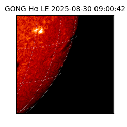 gong - 2025-08-30T09:00:42