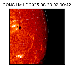 gong - 2025-08-30T02:00:42