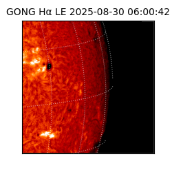 gong - 2025-08-30T06:00:42
