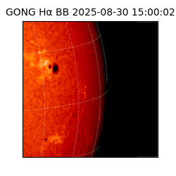 gong - 2025-08-30T15:00:02