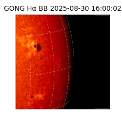 gong - 2025-08-30T16:00:02
