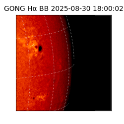 gong - 2025-08-30T18:00:02