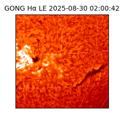 gong - 2025-08-30T02:00:42