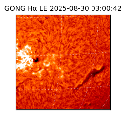 gong - 2025-08-30T03:00:42