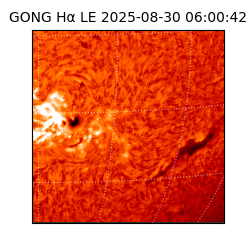 gong - 2025-08-30T06:00:42