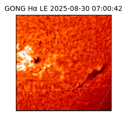 gong - 2025-08-30T07:00:42