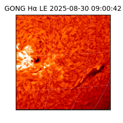 gong - 2025-08-30T09:00:42