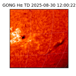 gong - 2025-08-30T12:00:22